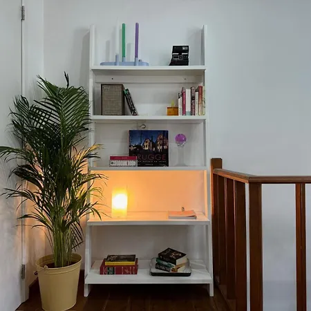 Apartament 3-person Cozy Place In The Center Of
