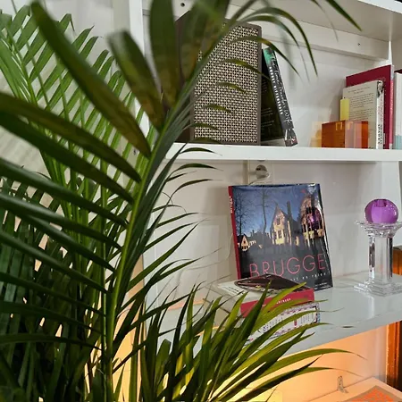 Apartament 3-person Cozy Place In The Center Of